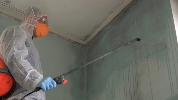 Mold Remediation